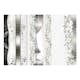 Fototapet Arkiio Parade Of Orchids In Shades Of Gray