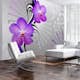 Fototapet Arkiio Purple Vibrations