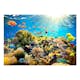 Fototapet Arkiio Underwater Land