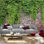 Fototapet Arkiio Brick And Ivy