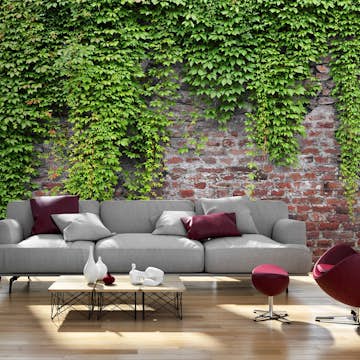 Fototapet Arkiio Brick And Ivy