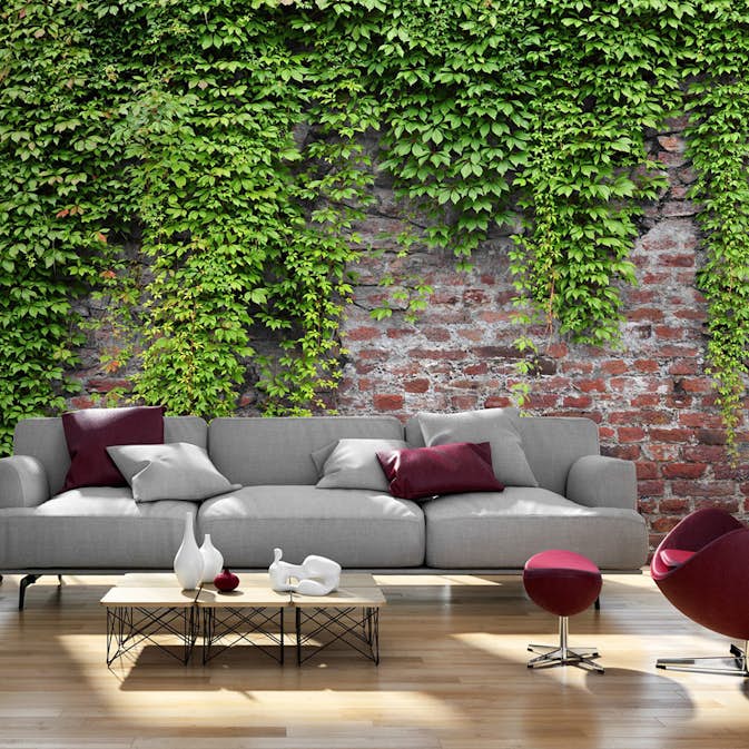 Fototapet Arkiio Brick And Ivy