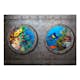 Fototapet Arkiio Window To The Underwater World