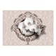 Fototapet Arkiio Royal Orchids