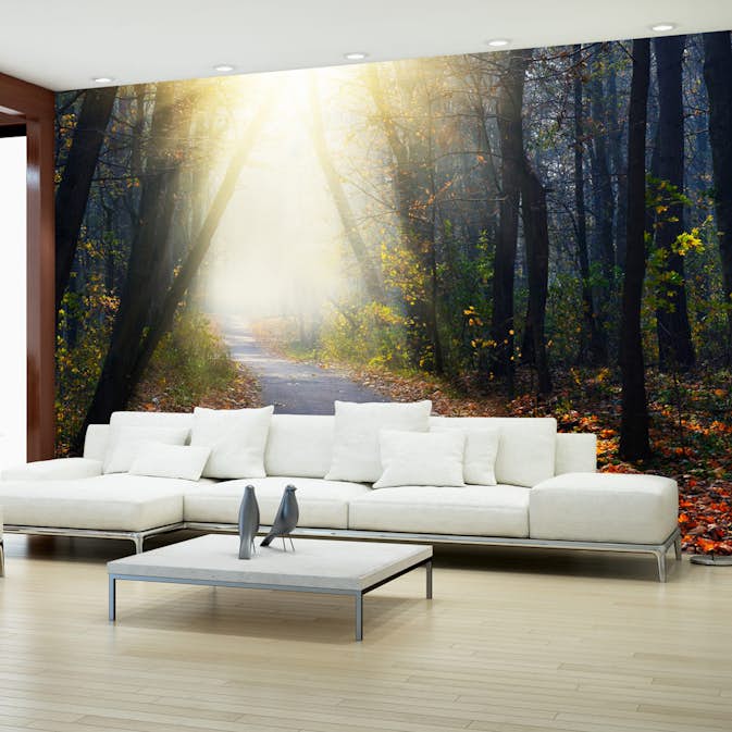 Fototapet Arkiio Road Through The Forest