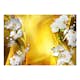 Fototapet Arkiio Orchid In Gold