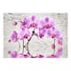 Fototapet Arkiio Purple Delight