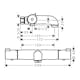 Badkarsblandare Hansgrohe Ecostat 1001 CL