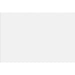 Kakel Netto Ceramika Blanco Mate 20x30 cm