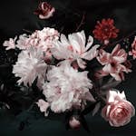 Fototapet Living Walls Designwalls DD118520