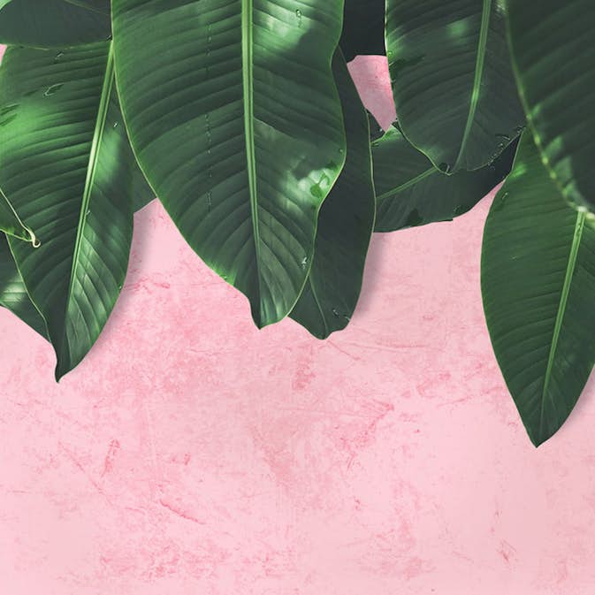 Fototapet Living Walls Designwalls DD118544