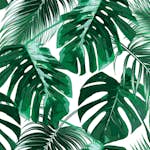 Fototapet Living Walls Designwalls DD118572