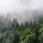 Fototapet Living Walls Designwalls DD118602