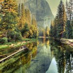 Fototapet Living Walls Designwalls DD118618