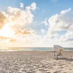 Fototapet Living Walls Designwalls DD118656