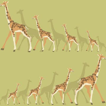 Tapet York Wallcoverings Dwell Studio Baby & Kids DW2364