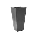 Blomkruka Recal Sonata