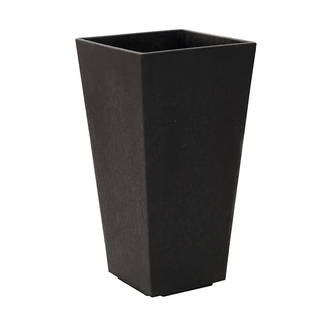 Blomkruka Recal Sonata