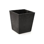 Blomkruka Recal Sonata