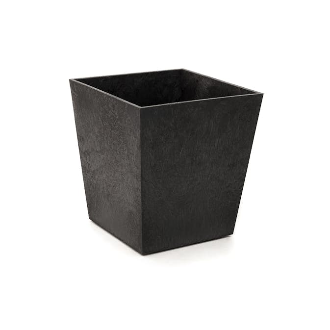 Blomkruka Recal Sonata