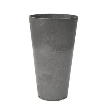 Blomkruka Recal Concerto