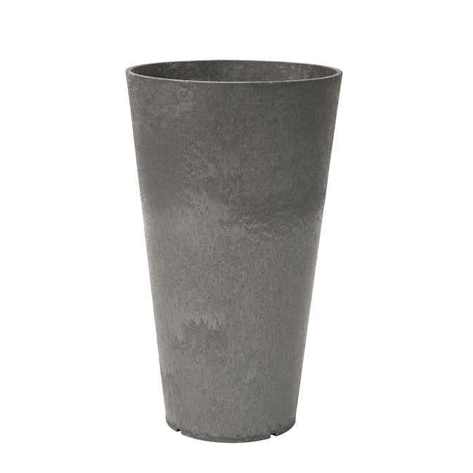 Blomkruka Recal Concerto