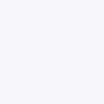 Tapet Galerie Wallcoverings Natural FX G67496