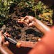 Planteringssticka Fiskars Solid