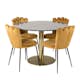 Matgrupp furniture/fashion Ester med 4 Limhamn Light Stolar