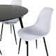 Matgrupp Venture Home Dipp med 4 Polar Plastic stolar