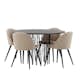 Matgrupp furniture/fashion Stone med 4 Velvet Stitches Stolar