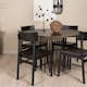 Matgrupp furniture/fashion Stone med 4 Montros Stolar