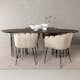 Matgrupp furniture/fashion Stone med 4 Limhamn Stolar