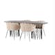 Matgrupp furniture/fashion Stone med 4 Limhamn Stolar