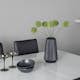 Matgrupp Venture Home Pluto med 4 Lily Stolar
