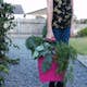 Hink Flexigarden Trican med Softgriphandtag Cerise, Orange, Lime 17 l