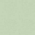 Tapet Duro Linne Ljus Björk 415-20