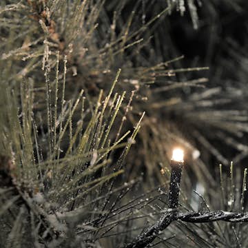 Ljusslinga Gnosjö Konstsmide 200 st Mikro LED