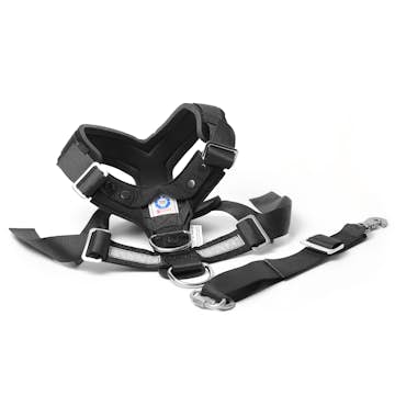 Hundsele MIM AllSafe L