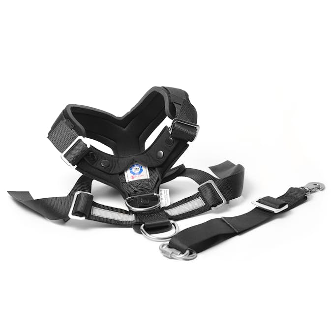 Hundsele MIM AllSafe S