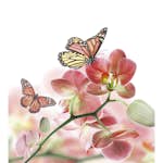 Tapet Dimex Orchids and Butterfly