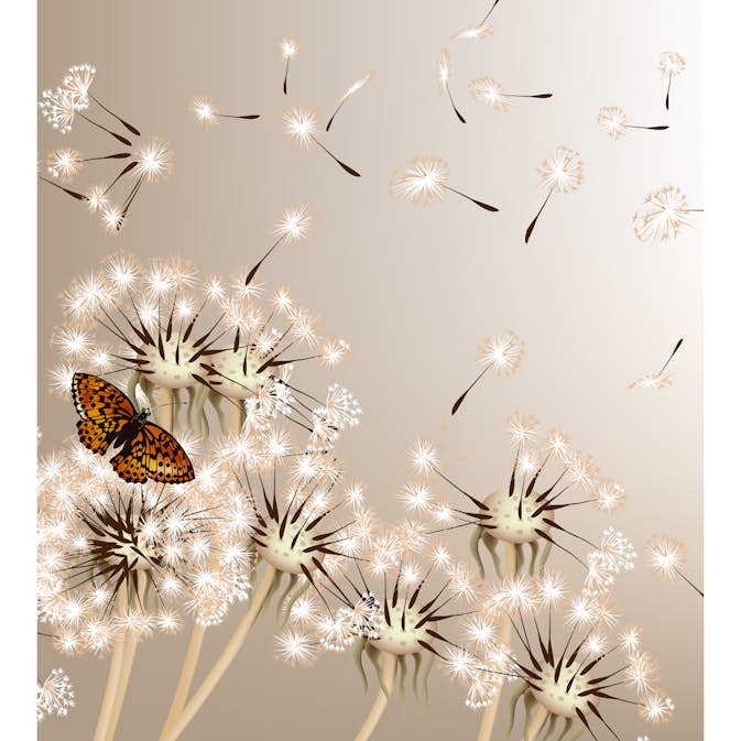 Tapet Dimex Dandelions And Butterfly