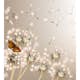 Tapet Dimex Dandelions And Butterfly