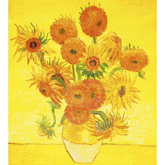 Tapet Dimex Sunflowers