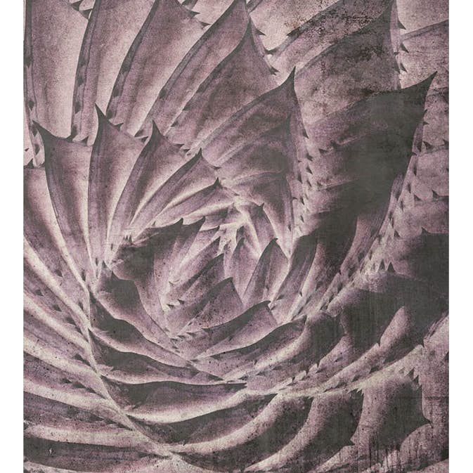 Fototapet Dimex Cactus Abstract