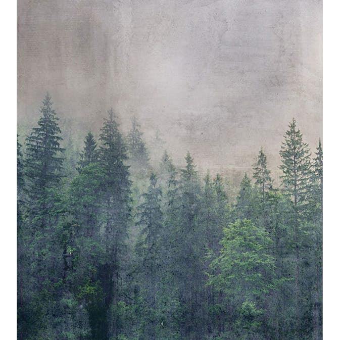 Fototapet Dimex Forest Abstract