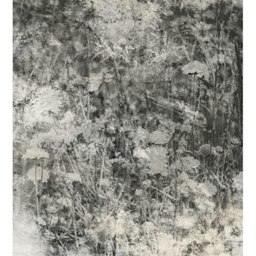 Fototapet Dimex Nature Gray Abstract