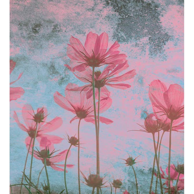 Fototapet Dimex Pink Flower Abstract