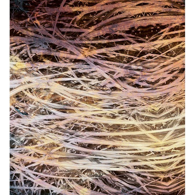 Fototapet Dimex Hay Abstract I