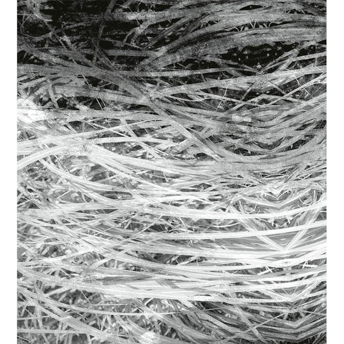 Fototapet Dimex Hay Abstract II